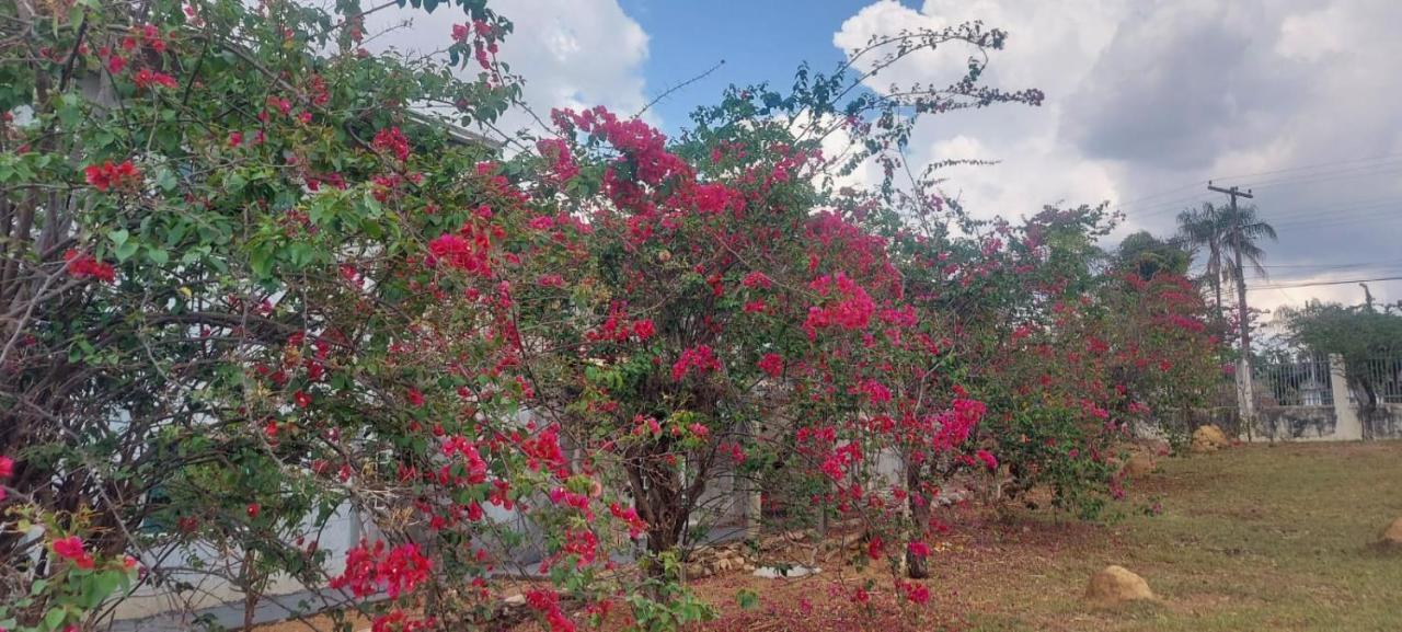 Villa De Assis Suites Alto Paraíso de Goiás Dış mekan fotoğraf